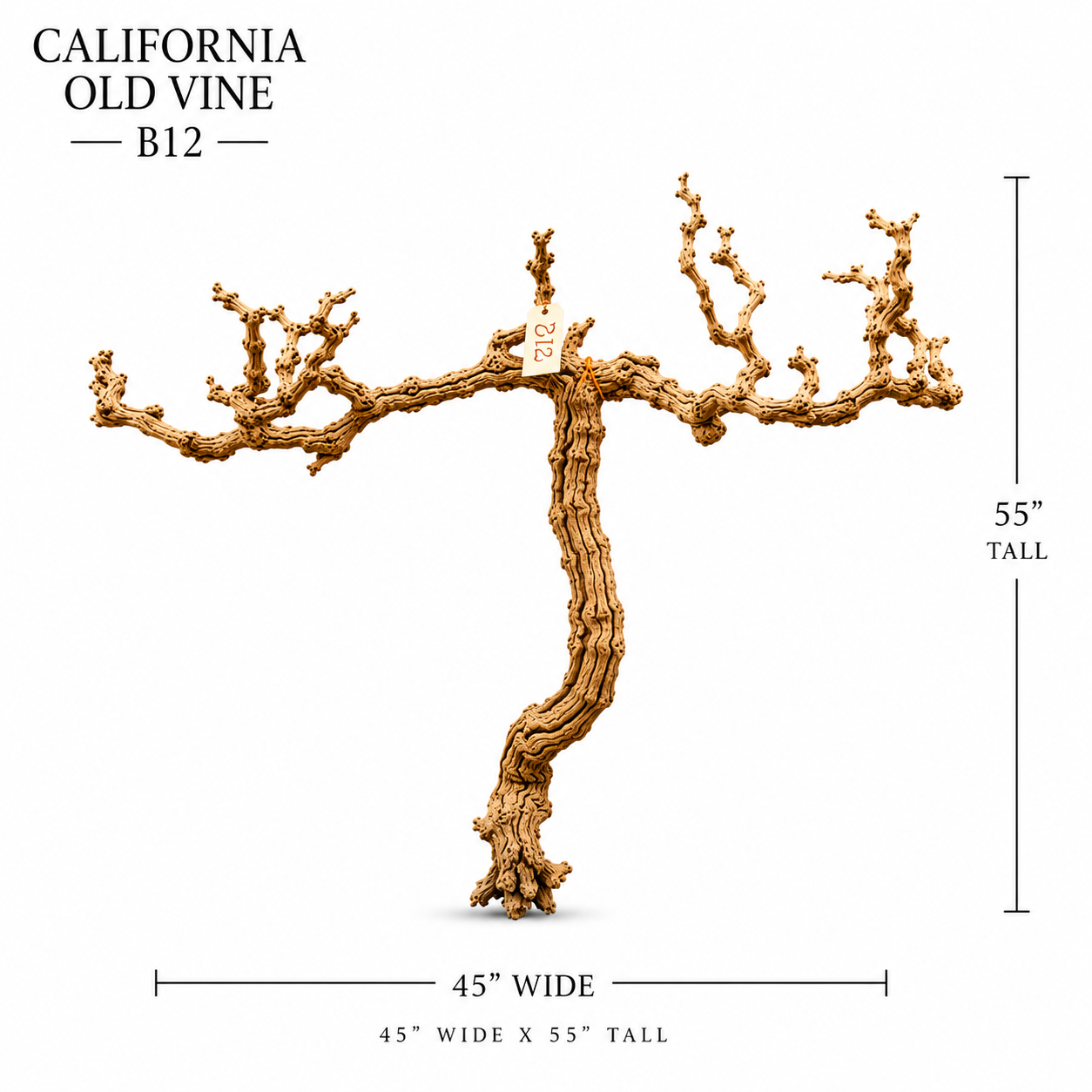 California Old Grapevine B12