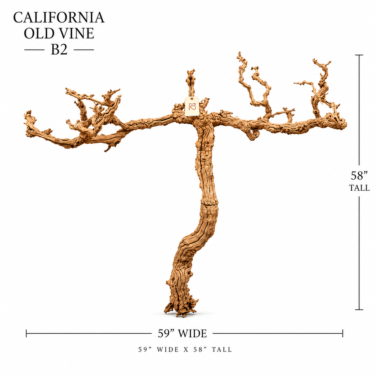 California Old Grapevine B2