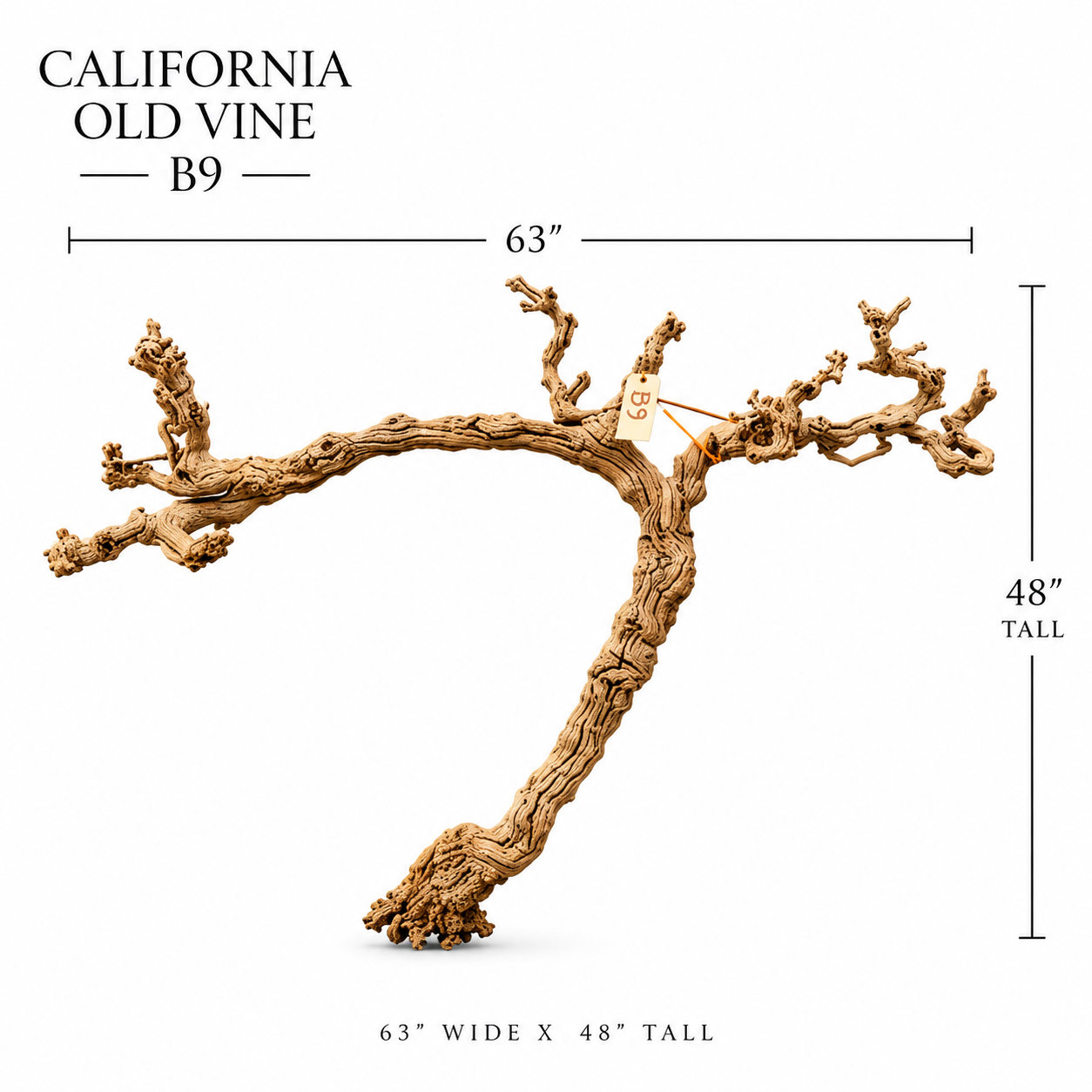 California Old Grapevine B9