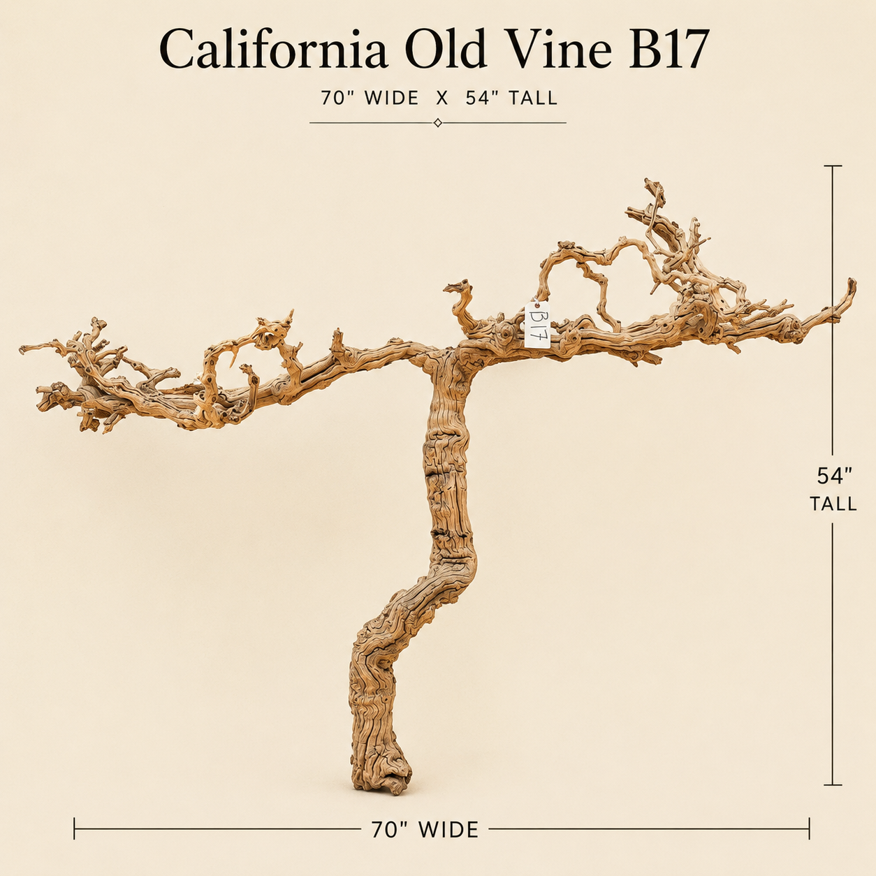 California Old Grapevine B17