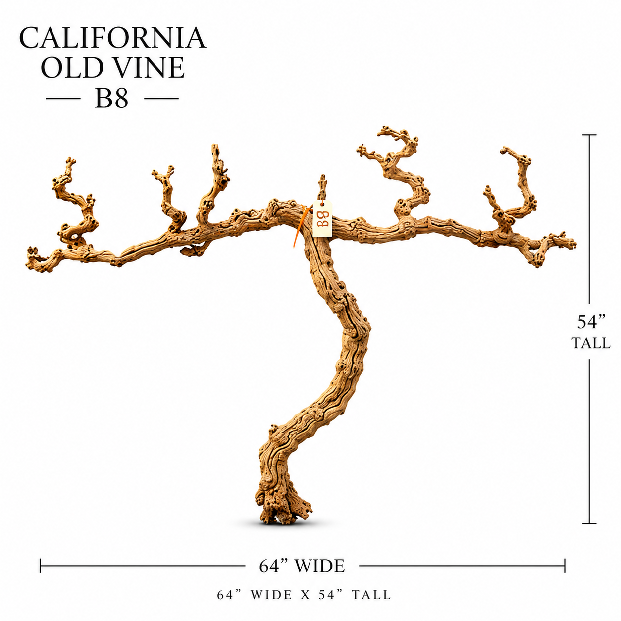 California Old Grapevine B8